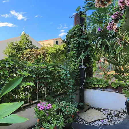 By The Sea Grebastica, - 19106