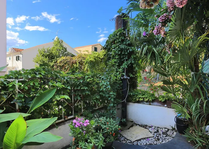 By The Sea Grebastica, - 19106